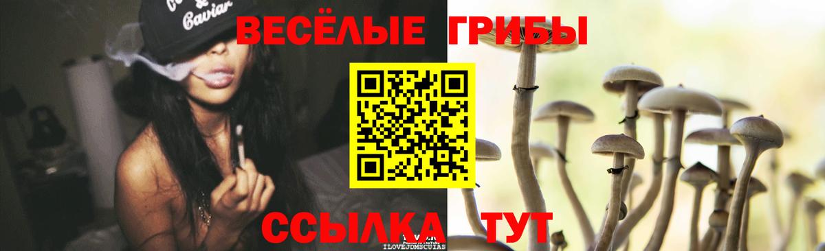 Псилоцибиновые грибы GOLDEN TEACHER  Галлюциногенные грибы мицелий  Вход с VPN  Феодосия 